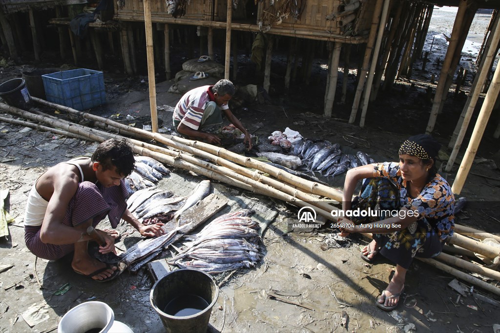 Dried fish production in Rakhine State, Myanmar