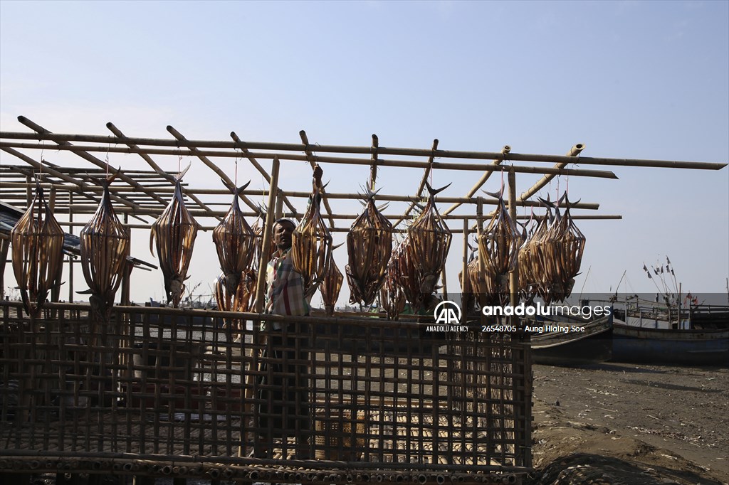 Dried fish production in Rakhine State, Myanmar