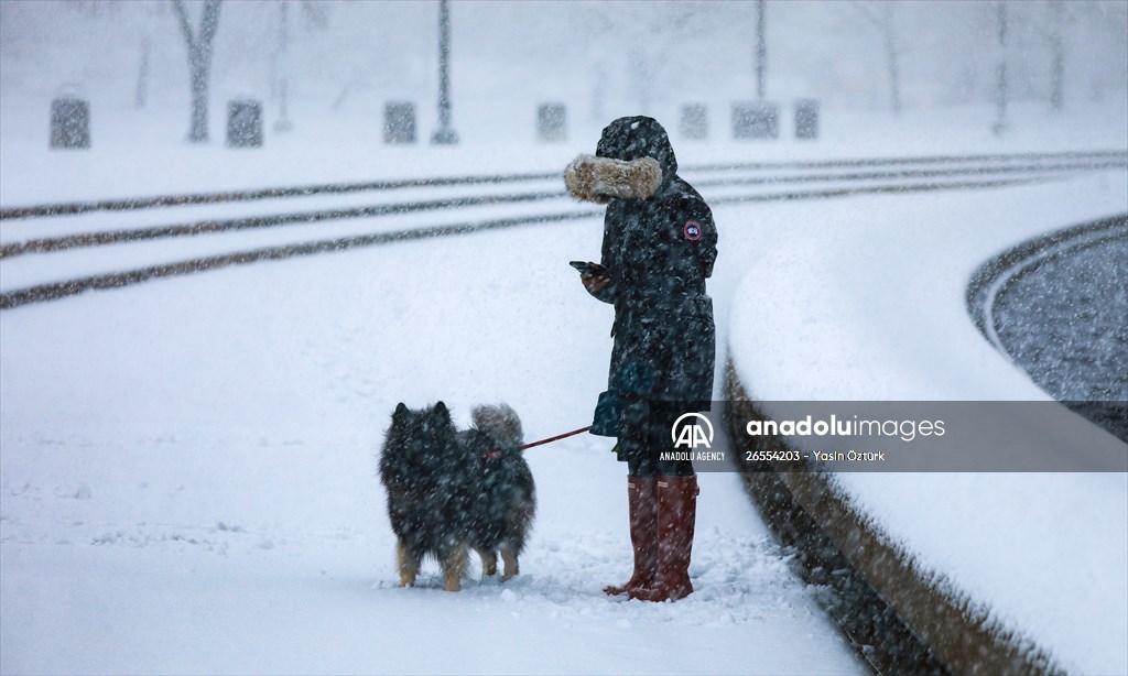 Winter storm in Washington DC