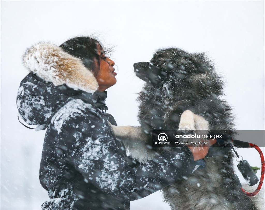 Winter storm in Washington DC