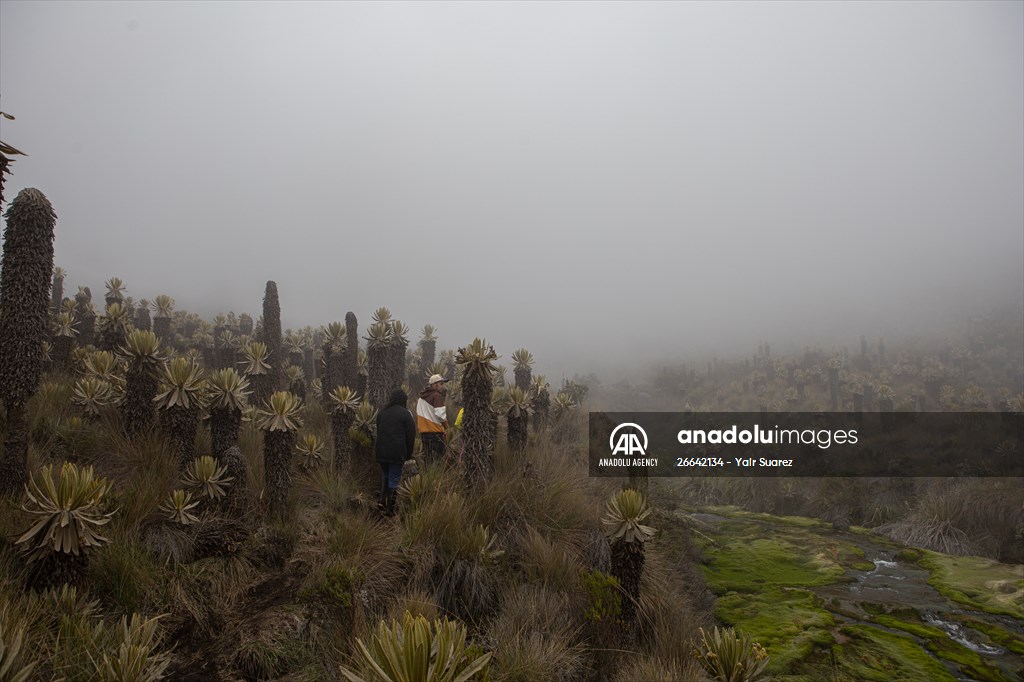 Tourists ascend to the hot springs lagoons of the Nevado del Rui