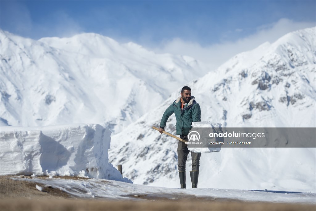 Kar kalınlığının 1,5 metreyi bulduğu Ovacık'ta besicilerin zorlu mesaisi