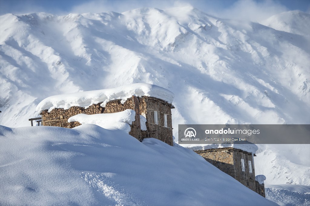 Kar kalınlığının 1,5 metreyi bulduğu Ovacık'ta besicilerin zorlu mesaisi