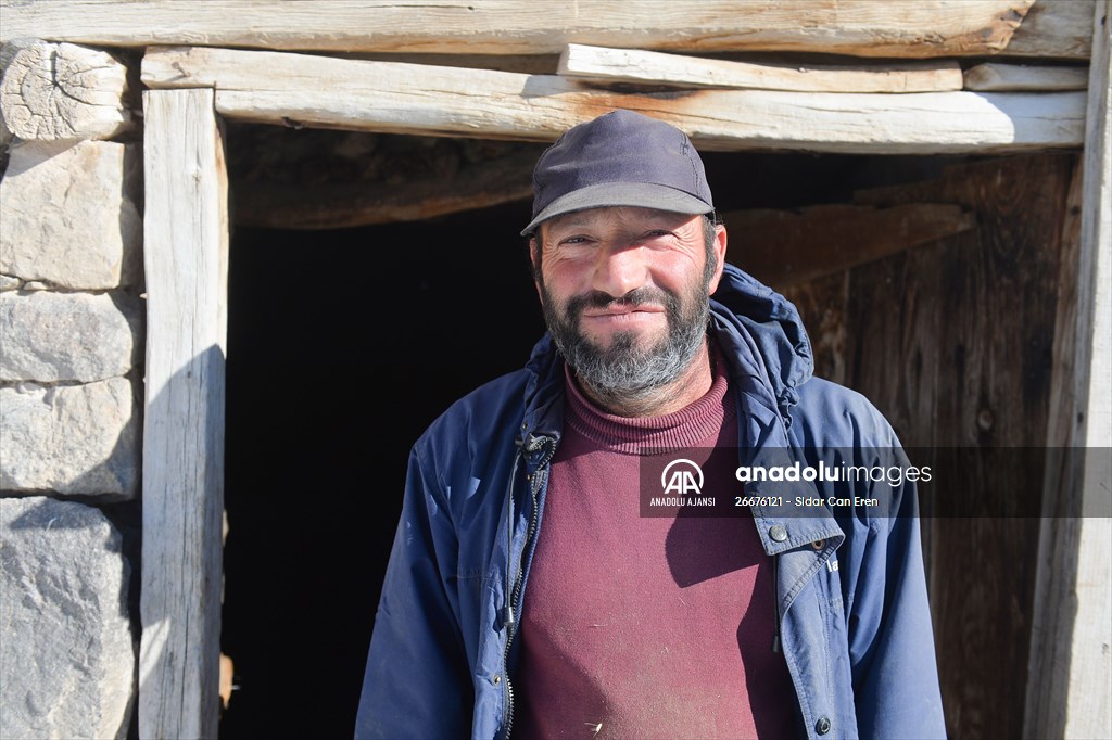 Kar kalınlığının 1,5 metreyi bulduğu Ovacık'ta besicilerin zorlu mesaisi