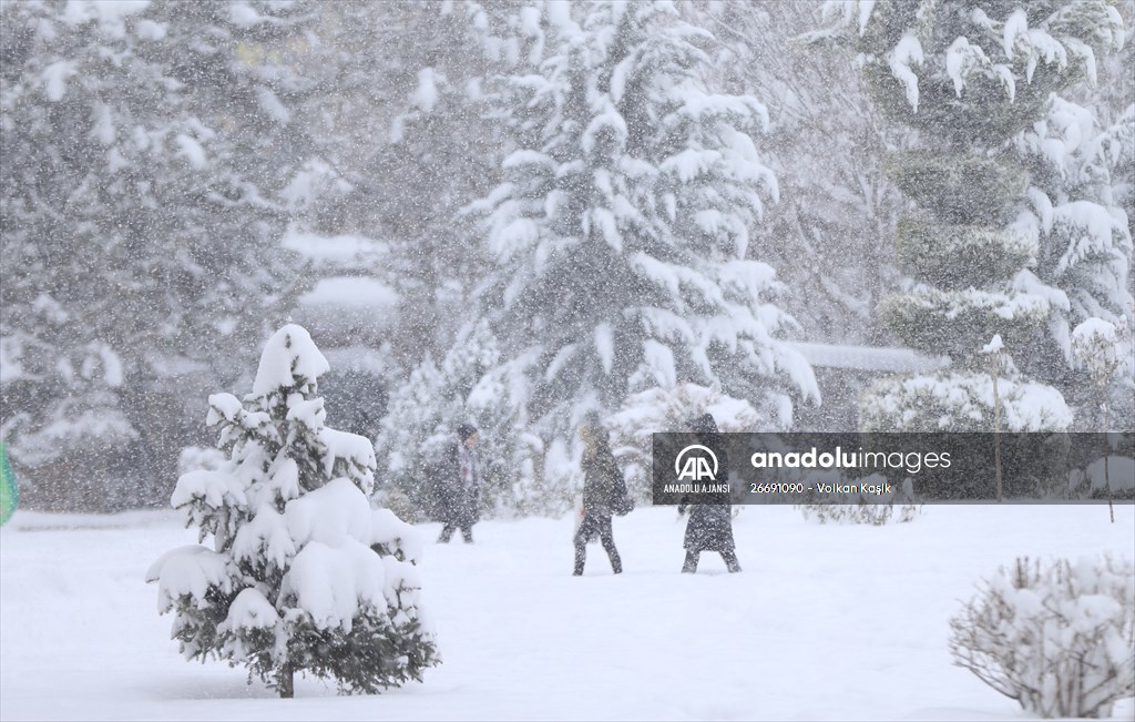 Malatya'da kar yağışı etkili oldu