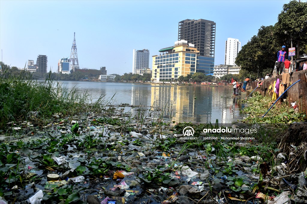 World Wetlands Day in Bangladesh