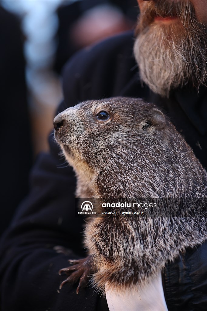 Groundhog Day 2022: Punxsutawney Phil says 6 more weeks winter