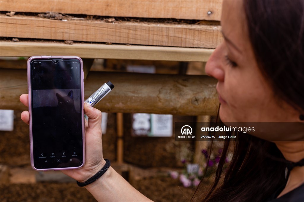 Pleia, option to say goodbye to pets in responsible way