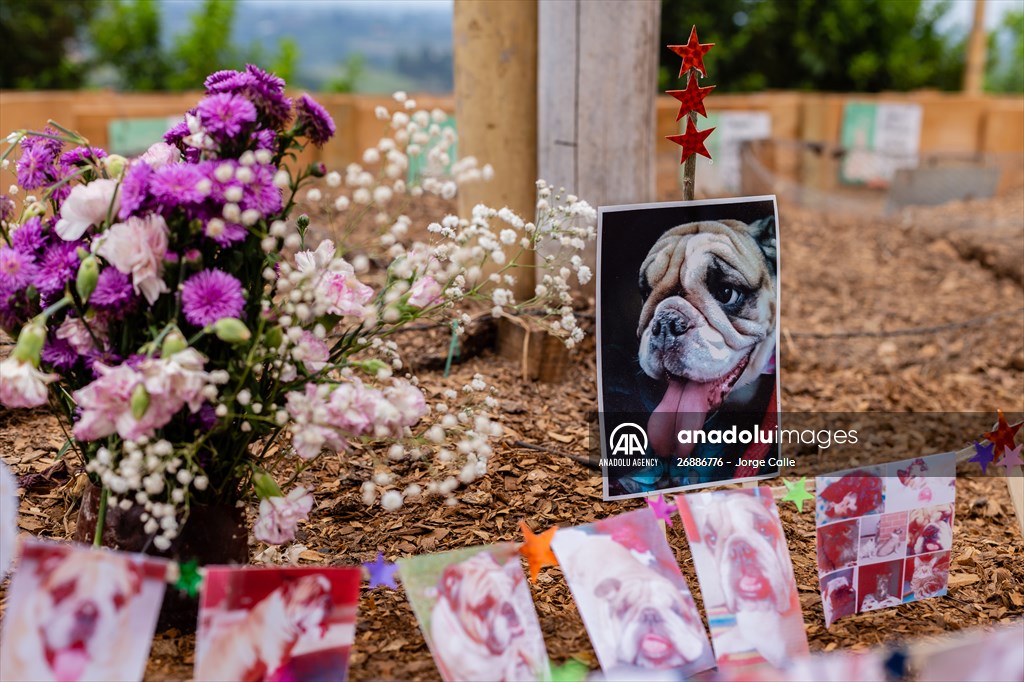 Pleia, option to say goodbye to pets in responsible way