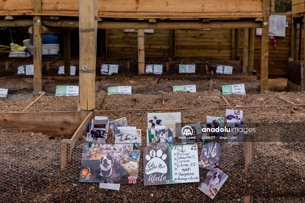 Pleia, option to say goodbye to pets in responsible way