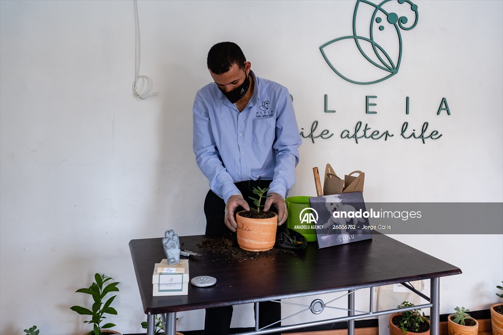 Pleia, option to say goodbye to pets in responsible way