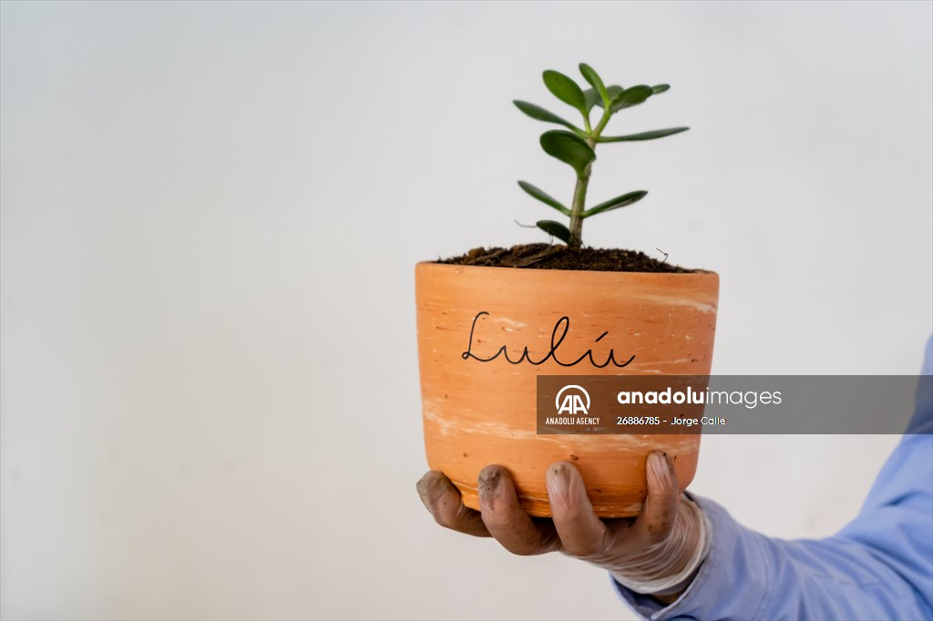 Pleia, option to say goodbye to pets in responsible way