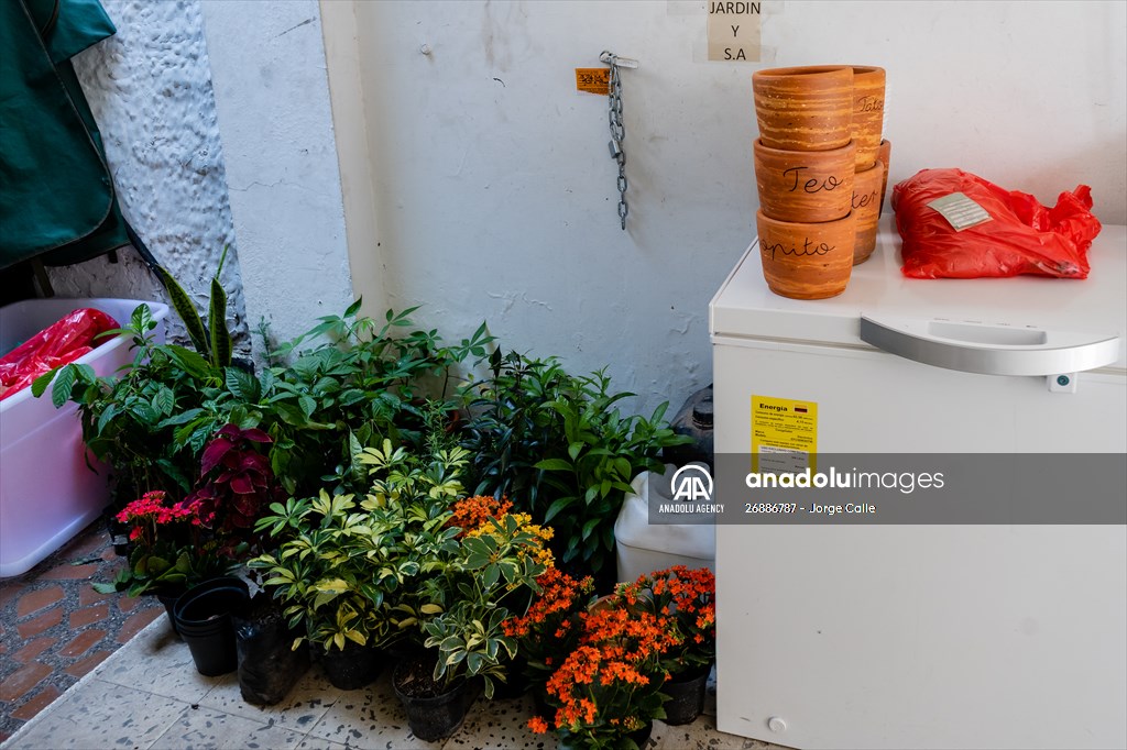 Pleia, option to say goodbye to pets in responsible way