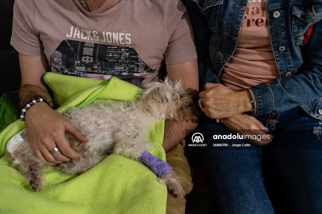 Pleia, option to say goodbye to pets in responsible way