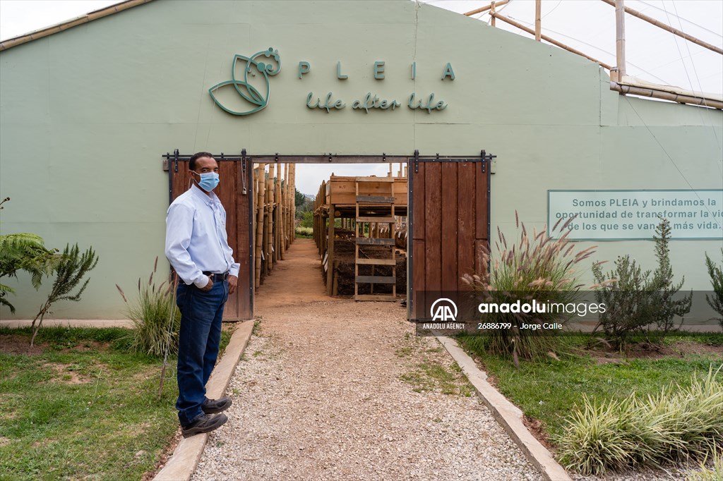 Pleia, option to say goodbye to pets in responsible way