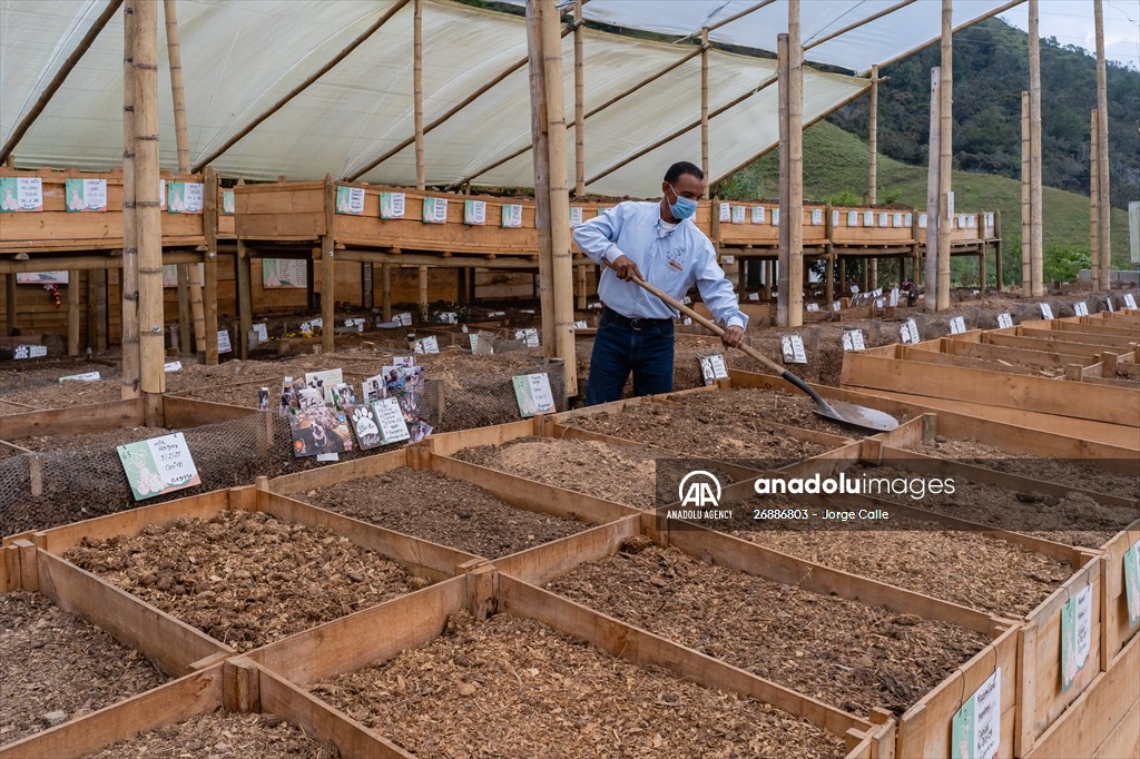 Pleia, option to say goodbye to pets in responsible way