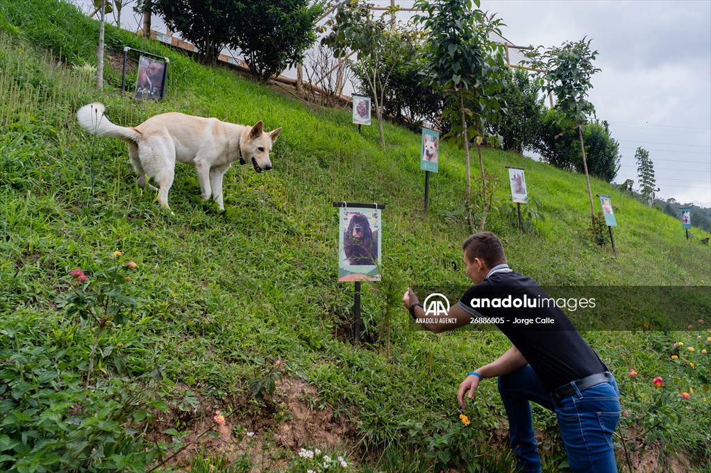 Pleia, option to say goodbye to pets in responsible way