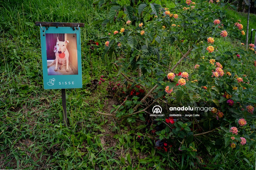 Pleia, option to say goodbye to pets in responsible way