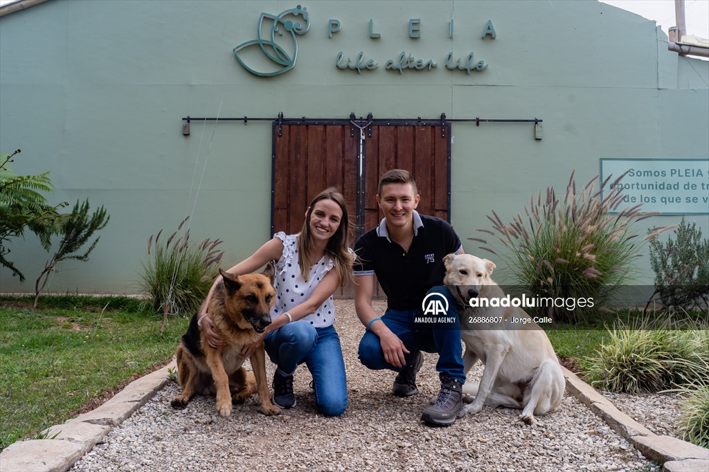 Pleia, option to say goodbye to pets in responsible way