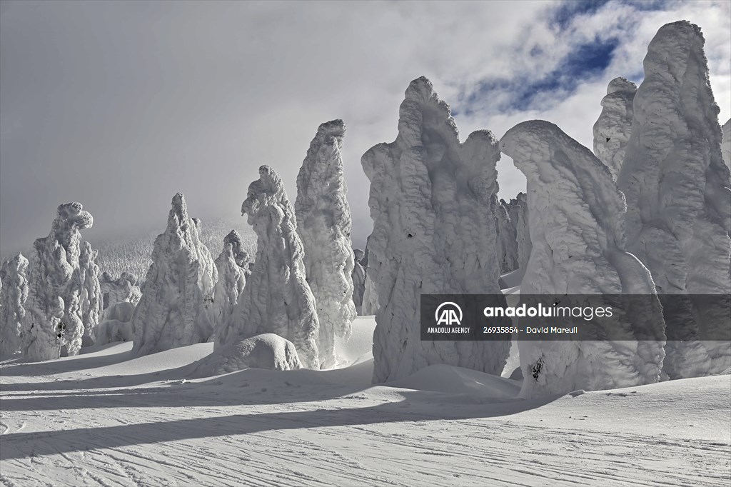 Snow monsters of Mount Zao in Japan