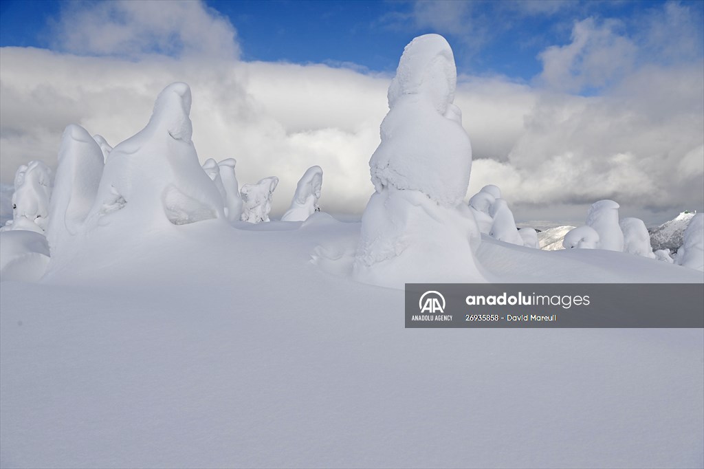 Snow monsters of Mount Zao in Japan