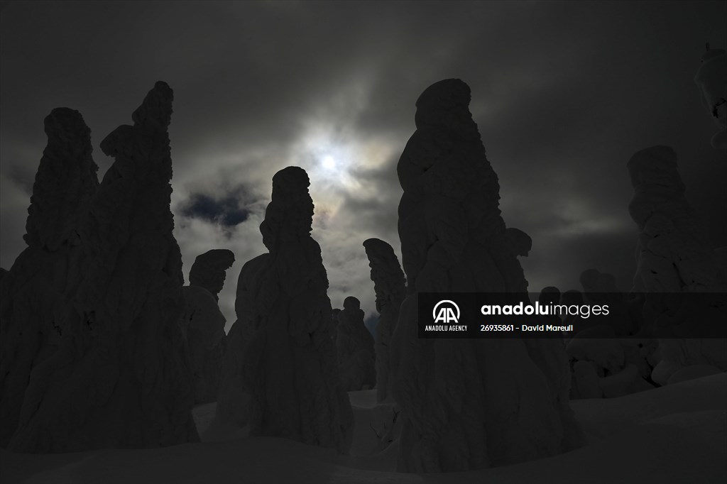 Snow monsters of Mount Zao in Japan