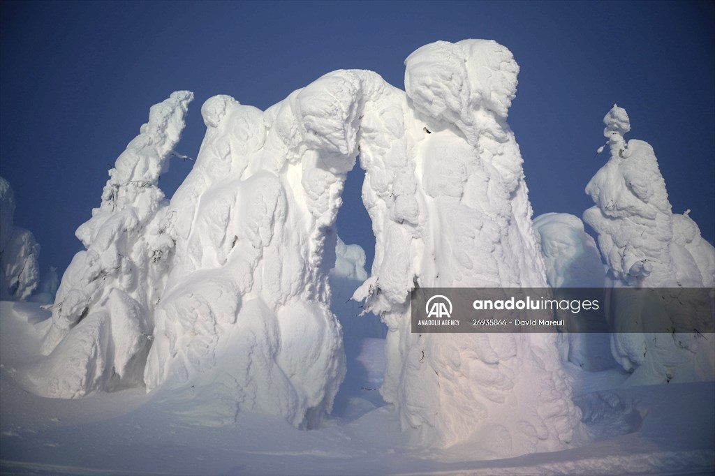 Snow monsters of Mount Zao in Japan