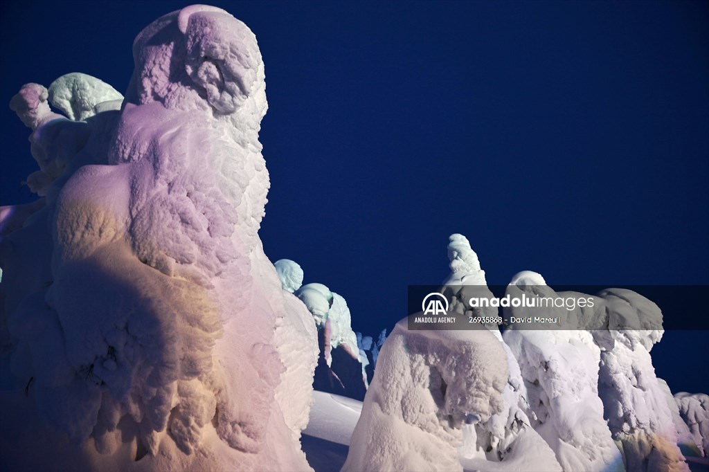 Snow monsters of Mount Zao in Japan