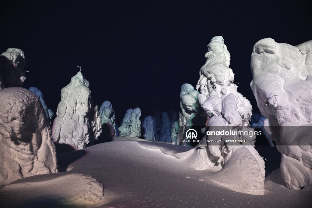 Snow monsters of Mount Zao in Japan