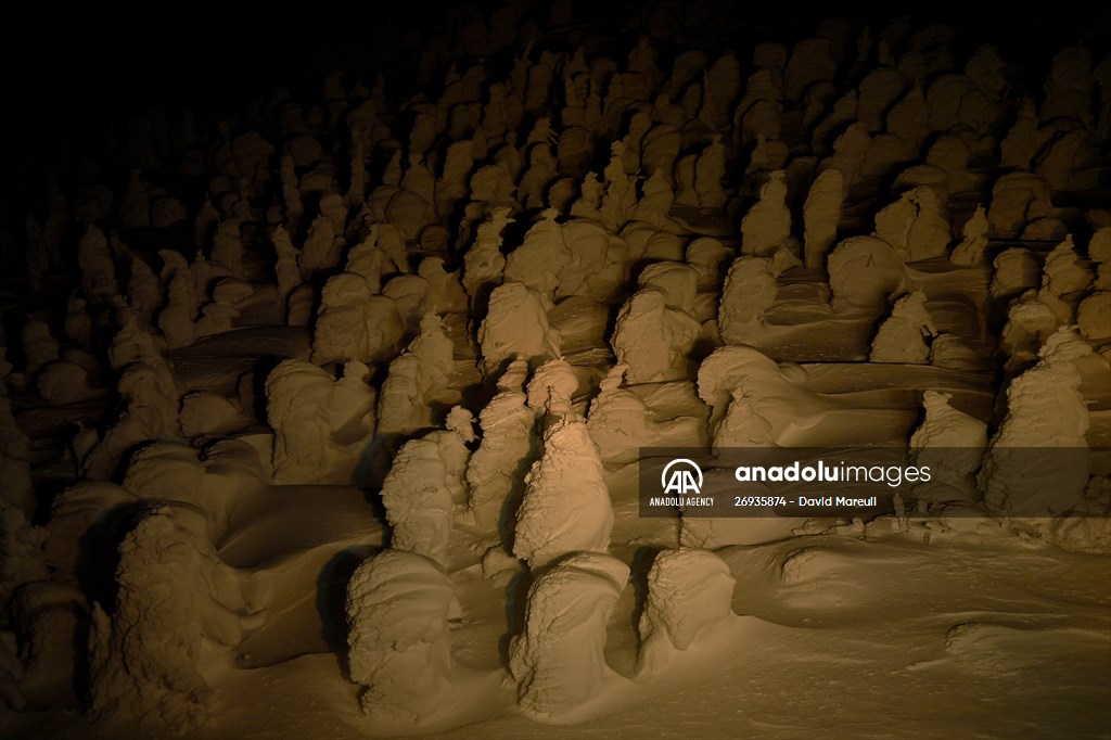 Snow monsters of Mount Zao in Japan