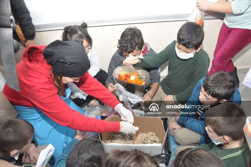 Öğrenciler "Çöp Müzesi" projesiyle atıklardan gübre ve sabun üretti