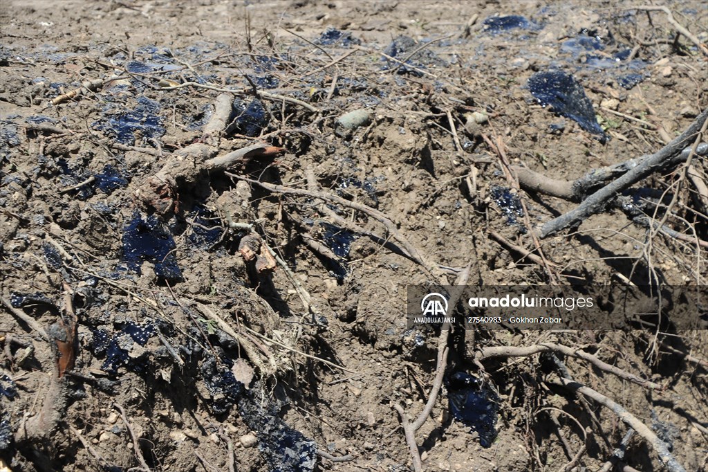 Edirne'de deposundan tarım arazilerine zift yayılan şirketin faaliyetleri durduruldu