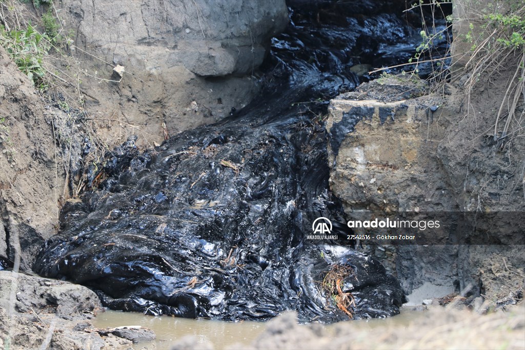 Edirne'de asfalt şantiyesinden tarlalara akan zifti temizleme çalışmaları devam ediyor