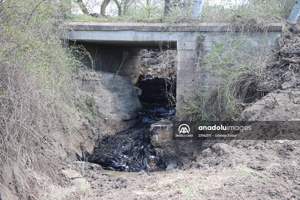 Edirne'de asfalt şantiyesinden tarlalara akan zifti temizleme çalışmaları devam ediyor