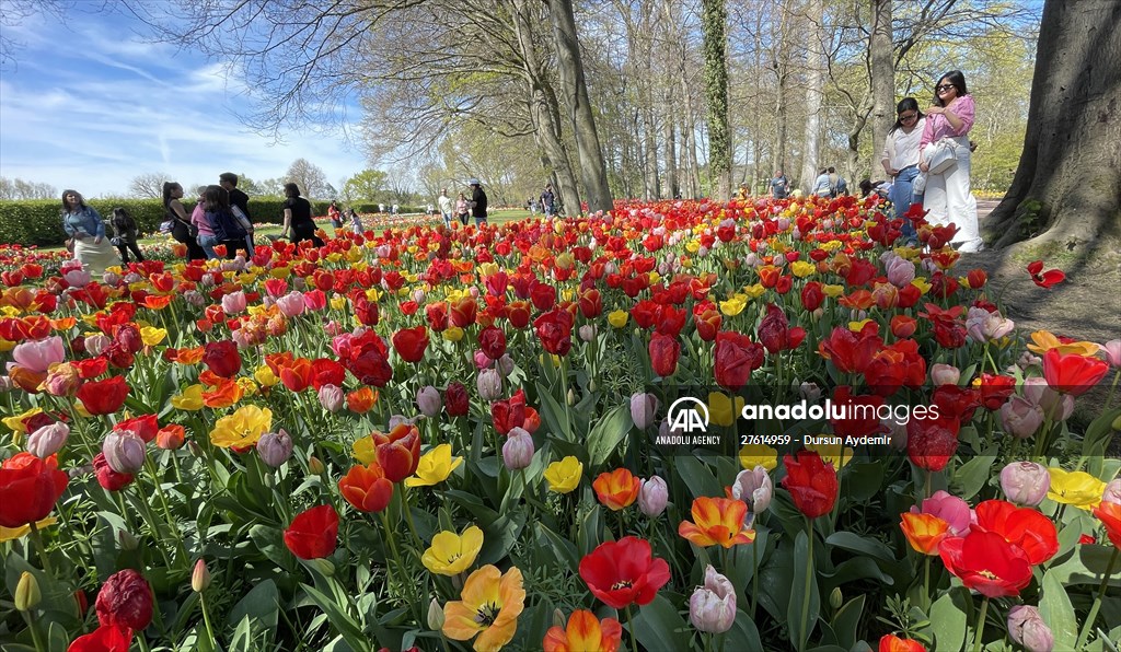 Flower show opens in Brussels