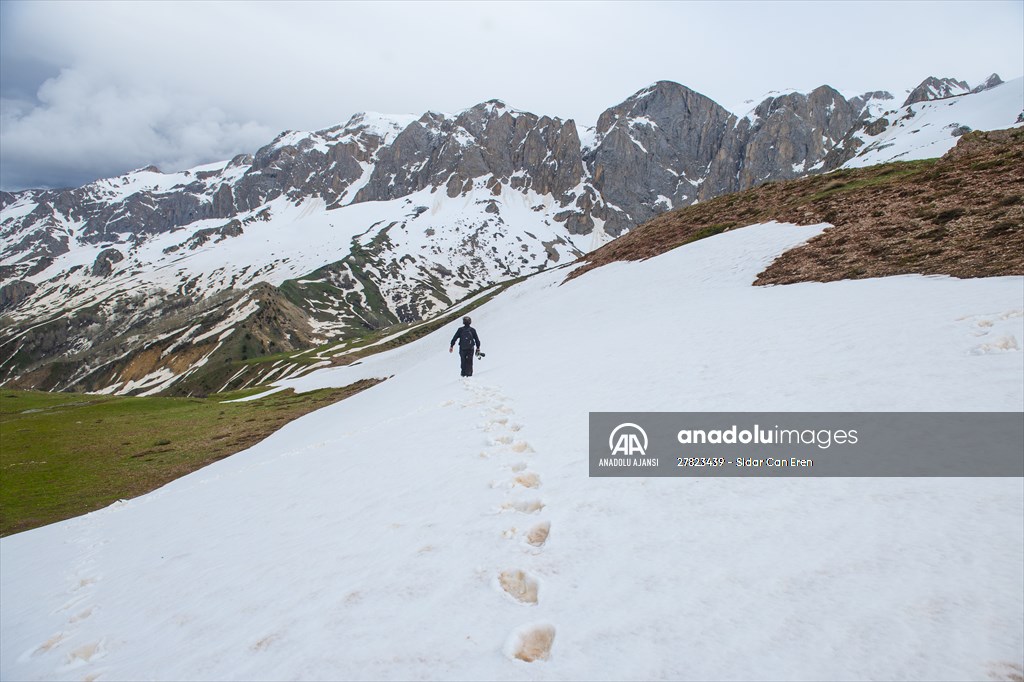Tunceli'nin yaylalarında ilkbahar ve kış manzaraları bir arada