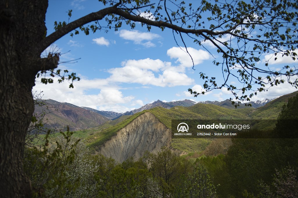 Tunceli'nin yaylalarında ilkbahar ve kış manzaraları bir arada