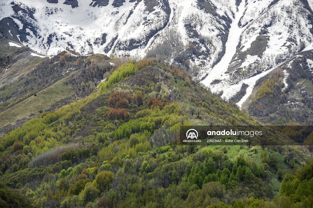 Tunceli'nin yaylalarında ilkbahar ve kış manzaraları bir arada