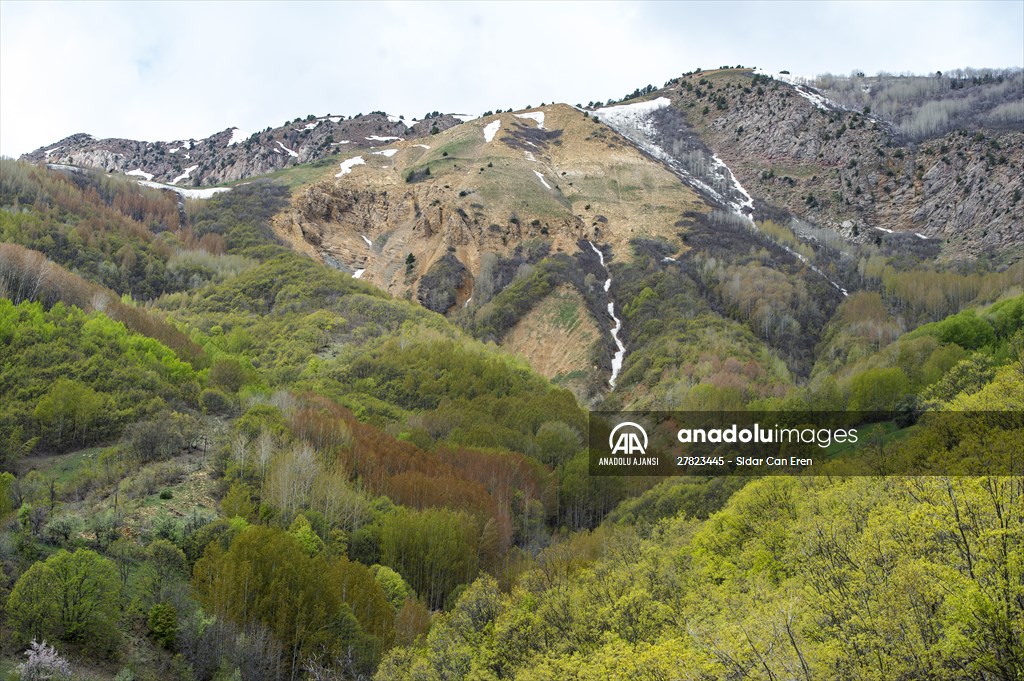Tunceli'nin yaylalarında ilkbahar ve kış manzaraları bir arada