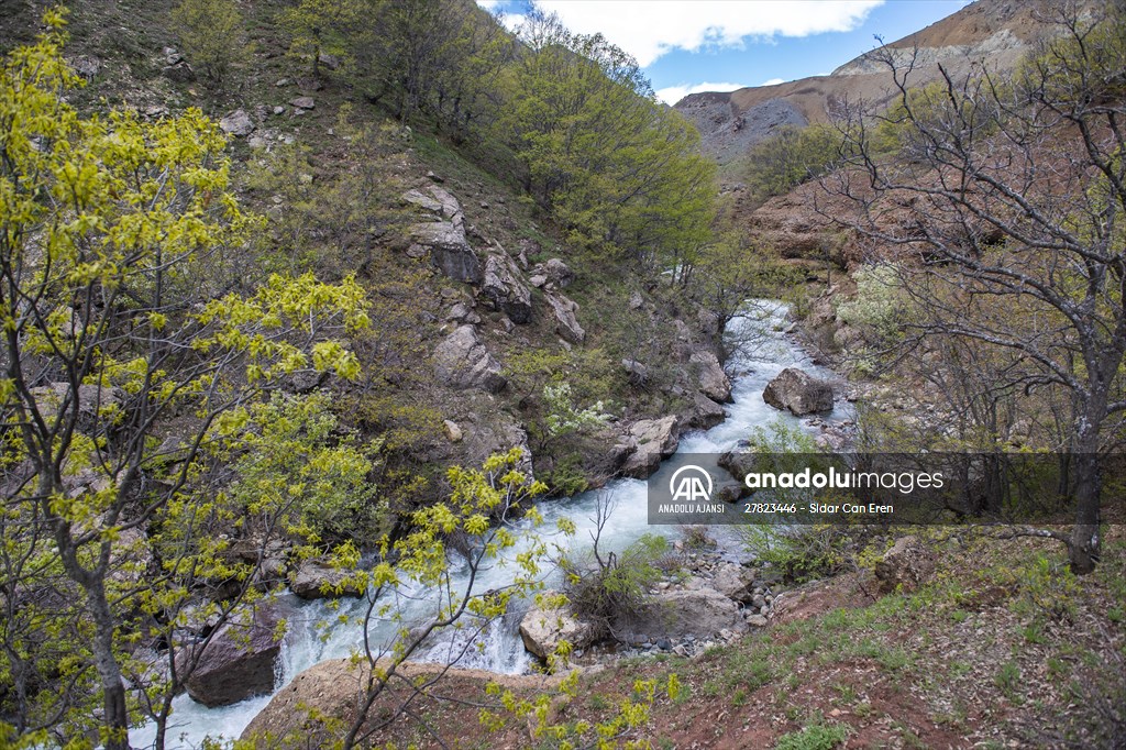 Tunceli'nin yaylalarında ilkbahar ve kış manzaraları bir arada