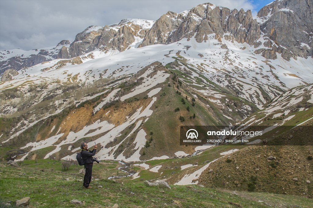Tunceli'nin yaylalarında ilkbahar ve kış manzaraları bir arada