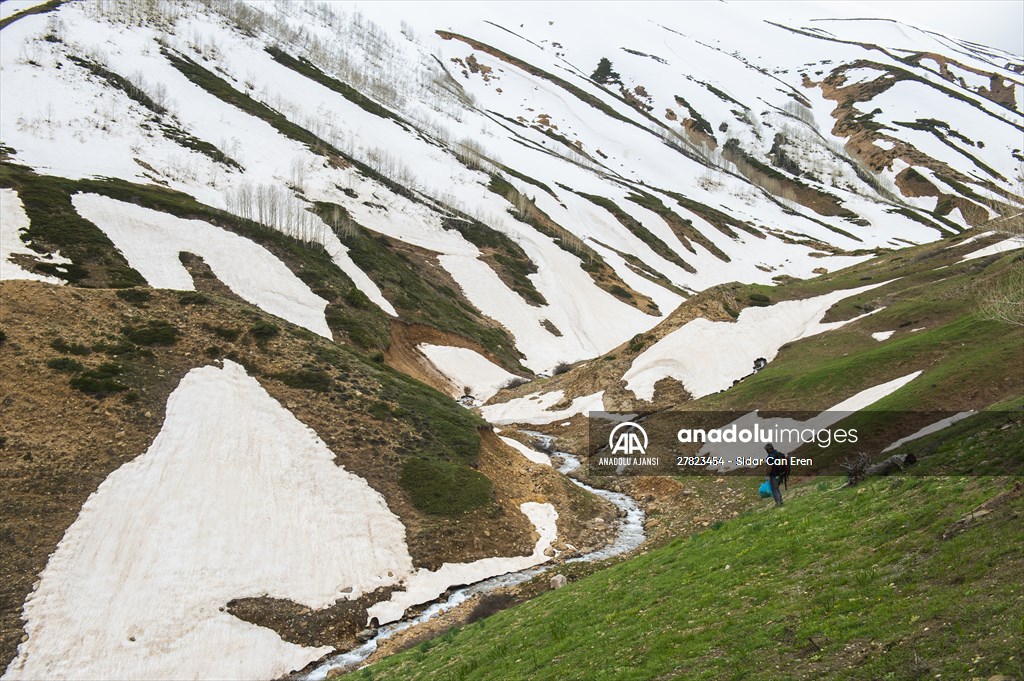 Tunceli'nin yaylalarında ilkbahar ve kış manzaraları bir arada