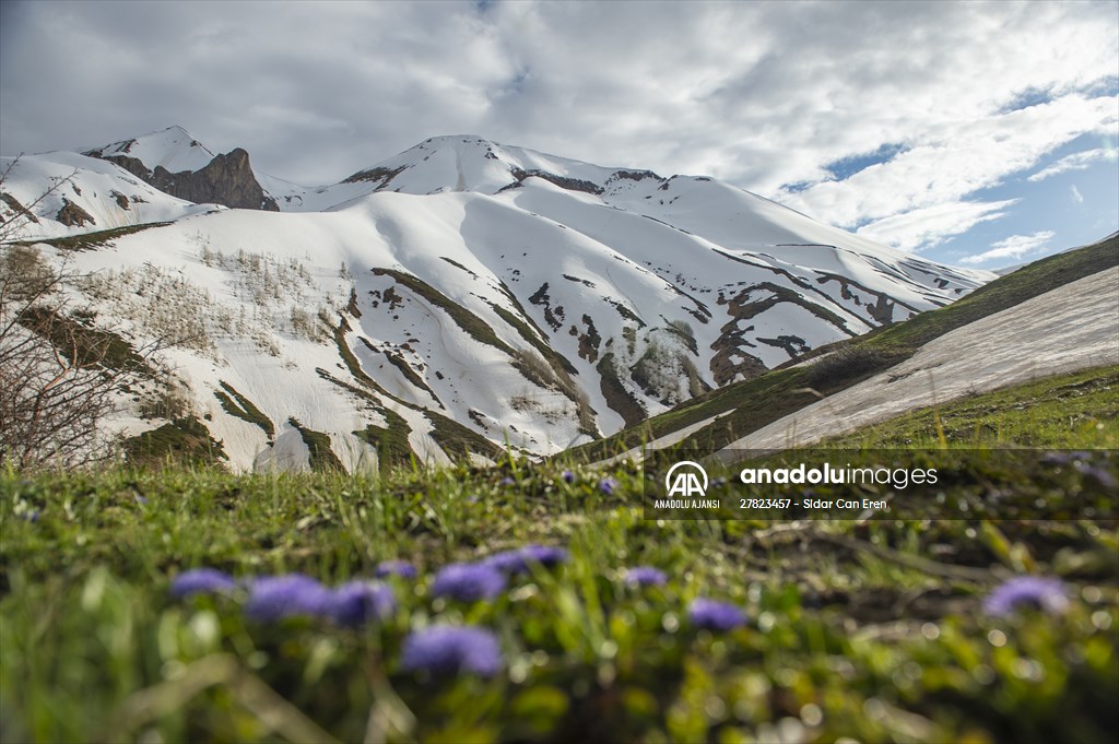 Tunceli'nin yaylalarında ilkbahar ve kış manzaraları bir arada