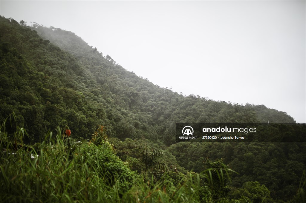 Colombia's most infamous road, Trampoline of Death