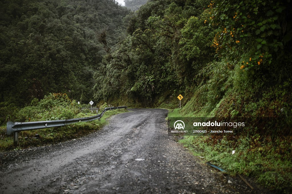 Colombia's most infamous road, Trampoline of Death