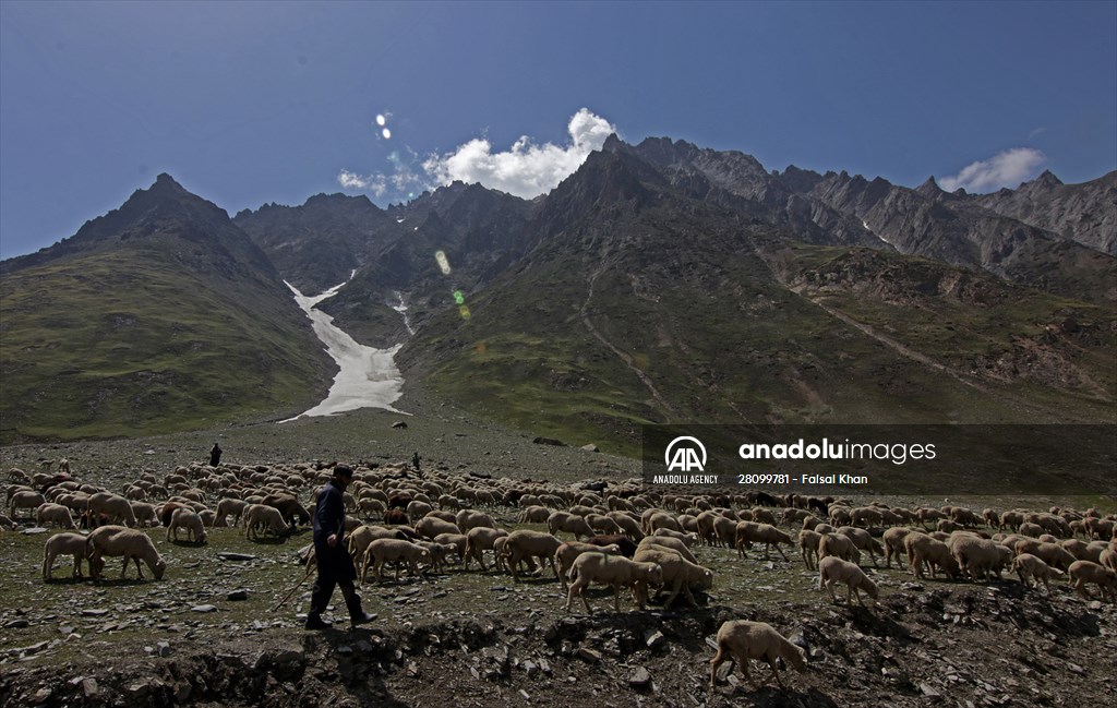 Zojila Pass : one of the world's most dangerous roads