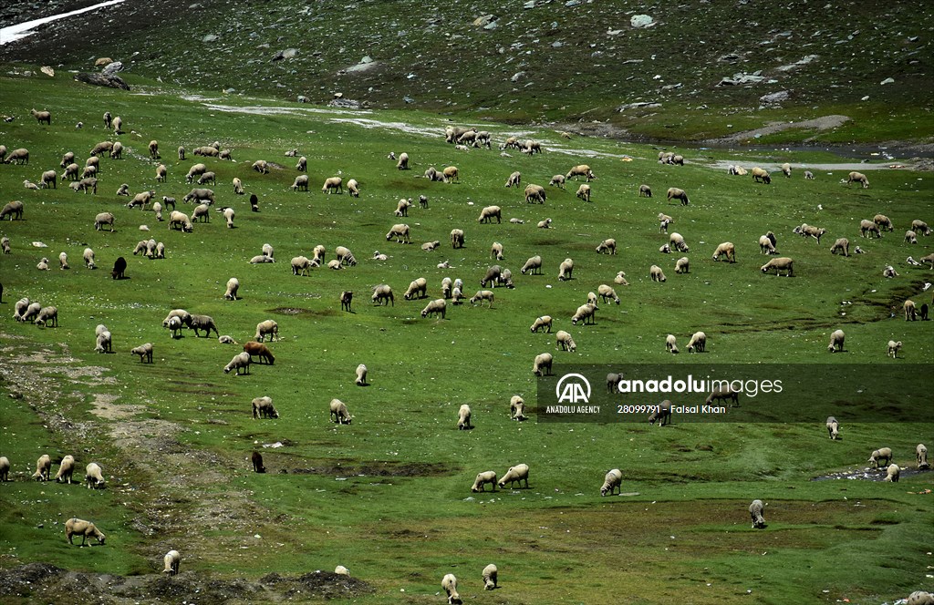 Zojila Pass : one of the world's most dangerous roads