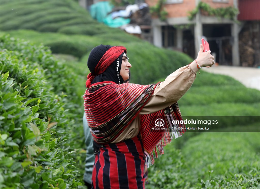 Rize'de örnek çay bahçeleri turizme katkı sağlıyor