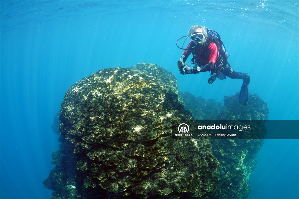 Underwater fairy chimneys of Turkiye's Lake Van