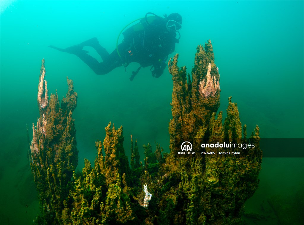 Underwater fairy chimneys of Turkiye's Lake Van